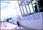 Path to the Church of Apparition; main basilica is visible behind